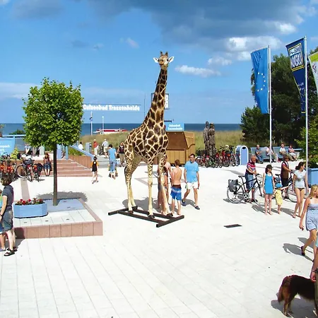 펜션 Doppelhaushaelfte Strandhaus Ii In